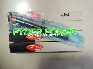 China DELPHI common rail injector EJBR04501D R04501D A6640170121  6640170121 supplier