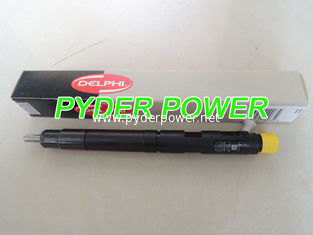 China DELPHI INJECTOR 28397569   Great Wall 1100100XED61  1100100X-ED61 supplier