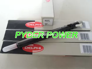 China DELPHI common rail injector EJBR04701D R04701D A6640170221 1795FE25W19 6640170221 supplier