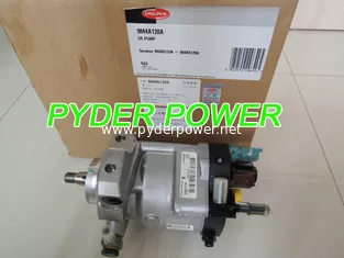 China DELPHI Fuel pump R9044Z120A 9044A120A 9044A129A supplier