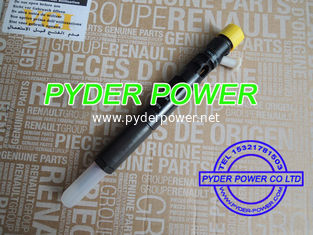 China DELPHI injector 28232242 EJBR02101Z EJBR04101D for RENAULT 8200049876 166003978R supplier