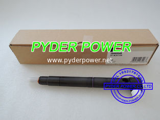 China DELPHI INJECTOR 28264951 / 28489548 supplier