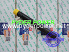 China DELPHI INJECTOR EJBR06101D YUCHAI FB300-1112100-011 supplier