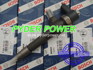 China BOSCH INJECTOR 0445110231 CHEVROLET 93342272 MWM-DIESEL 940704640034 VW 2P0130201 supplier