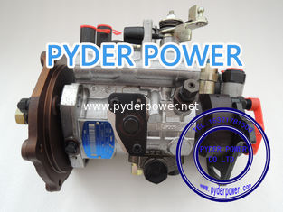 China DELPHI FUEL PUMP 8923A310W FORD 98VB9A543AB supplier