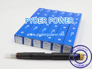 China DELPHI INJECTOR 28317158  JCB 320-06881  320X06881 supplier