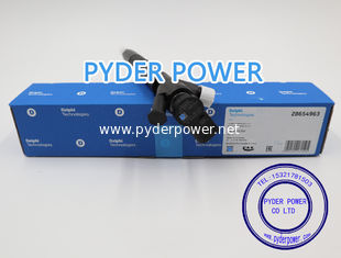 China DELPHI INJECTOR 28654963 VOLKSWAGEN 04L130277BG supplier