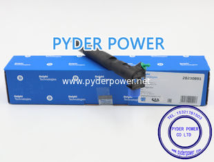 China DELPHI INJECTOR  28230891 MERCEDES BENZ A6510701387 supplier