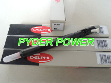 DELPHI common rail injector EJBR04701D R04701D A6640170221 1795FE25W19 6640170221 supplier